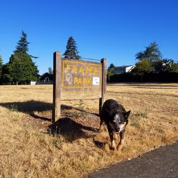 Frazer Park Off Leash Area photo 2